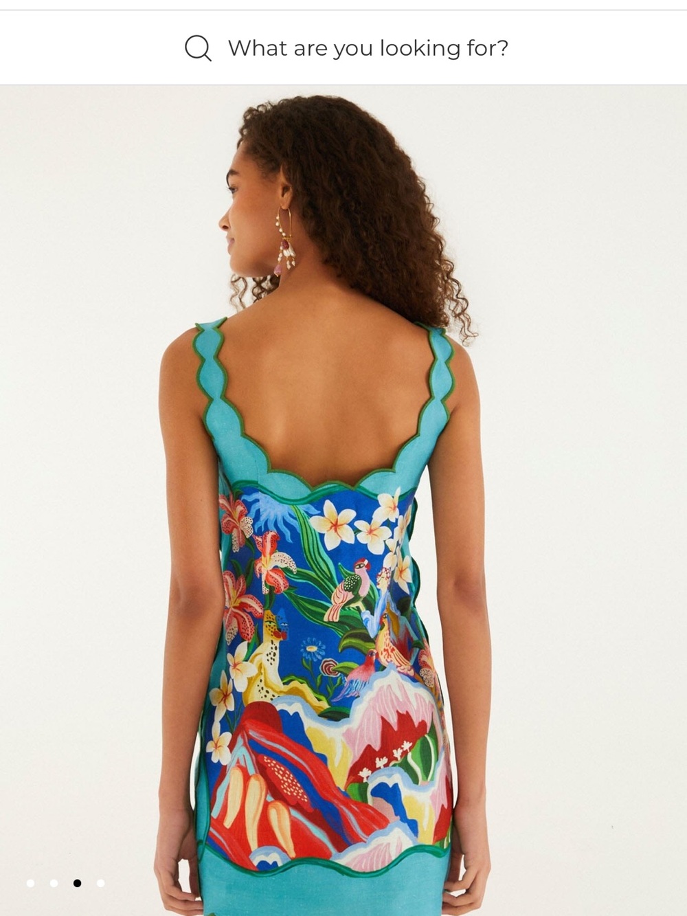 NWT FARM Rio Garden Of Life Scarf Scallop Mini Dress - Picture 2 of 7